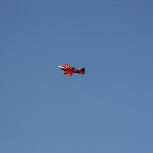 IMG 0748 lowres25