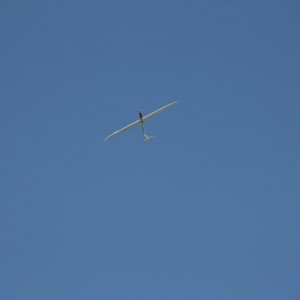 IMG 0768 lowres25