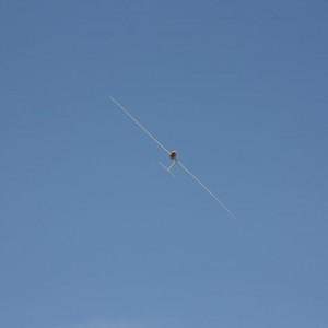 IMG 0777 lowres25