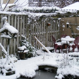 Sneeuw 07 12 2012