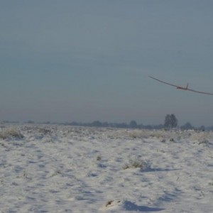 IMGP3029