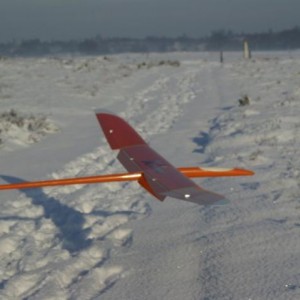 IMGP3031