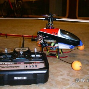 My Esky Honey Bee King 3