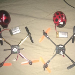lady bird   21 gram    &     lady bug, 28 gram met accu 
 onder