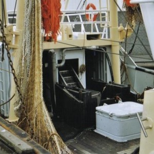 hd 30
