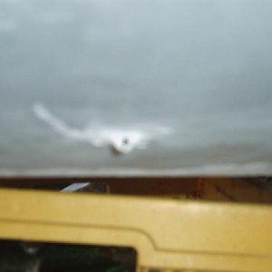 IMG00120