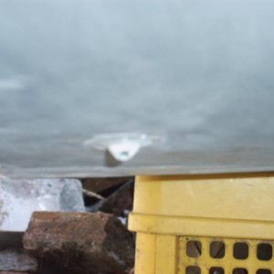 IMG00121