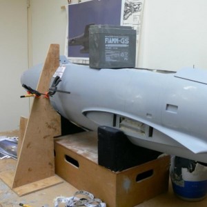 P1110973 (600x800)
