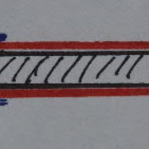 RDS1