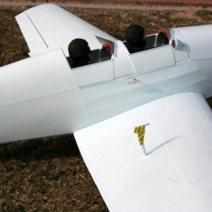 Bucker Bu 180 130