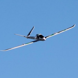 Zyp 041