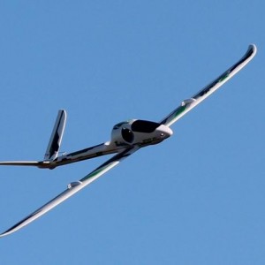 Zyp 062