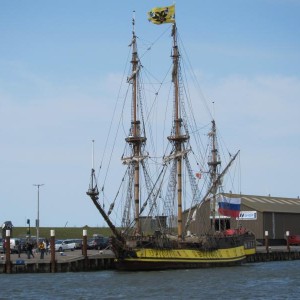 IMG 0690