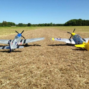 2 x P51 Mario Ferry (blauwe is van mij de gele is van ferry)