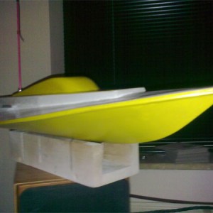 wiesel01 paint