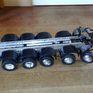 5 asser met spatborden