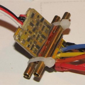 IMG 7517a (Small)