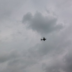 b25