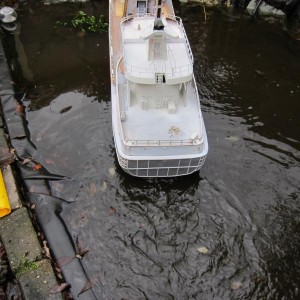 IMG 0818