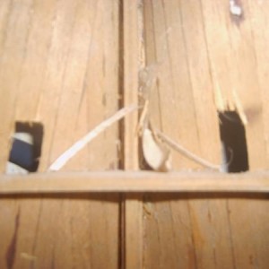 IMG00332