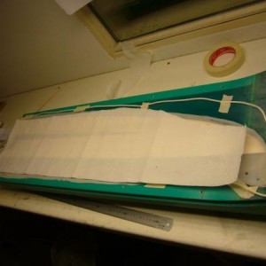 buitenschaal onder scheurweefsel+keukenpap