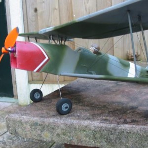 camo moth 005
