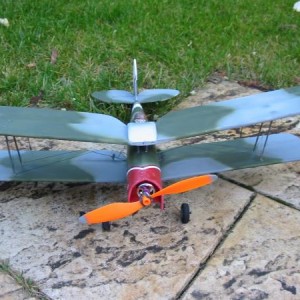 camo moth 004