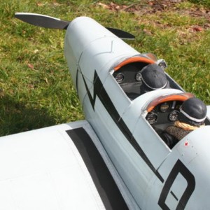 Bucker Bu 180 207