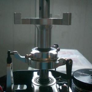 tuimel2