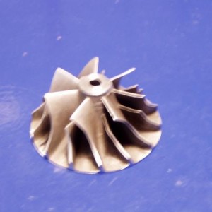 P1010113
