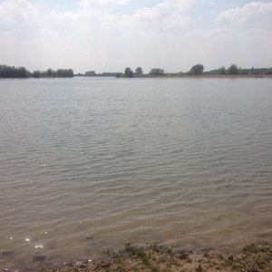 uitzicht over de plas
51.990532, 5.147844