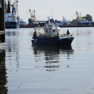 IMG 0869