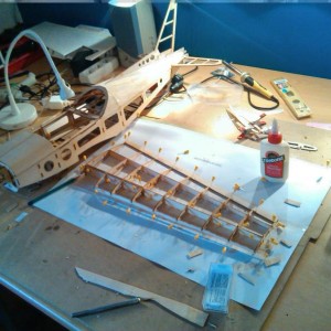 IMG 20140809 175859