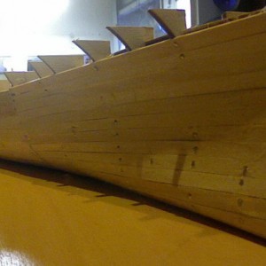 Picture 44