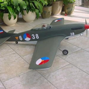P 51 Mustang 003