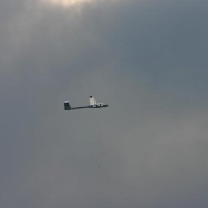 IMG 3043