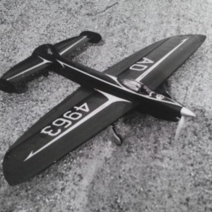 Trianic vroeg zw w