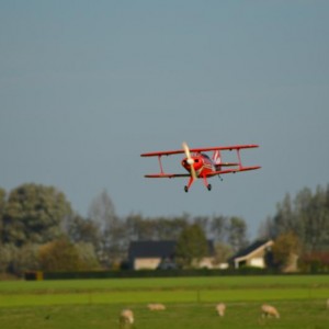 Pitts Special Toni clark zomer 2014