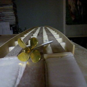 Picture 160