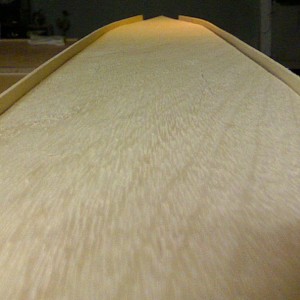 Picture 161