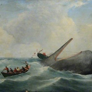 (1) De Jacht Met Moederschip  Op Achtergrond 800 X 427