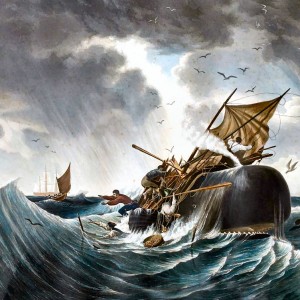 Walvisaanval