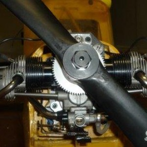 piper3