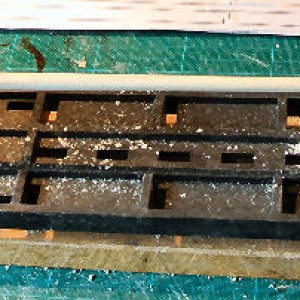 1) Mast Verjongen