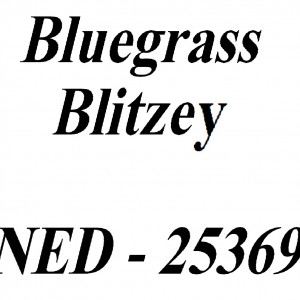 Bluegrass Blitzey Vleugel Tekst 2