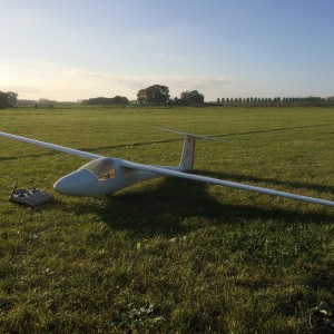 Libelle1