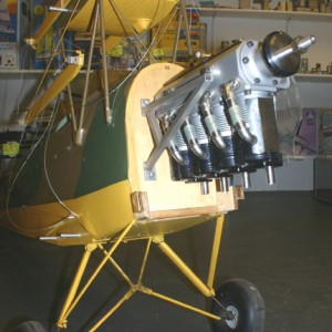 Moth2010 02