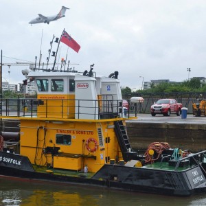 30 Cm Springer Voorbeeld