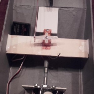 30 Cm Springer 10