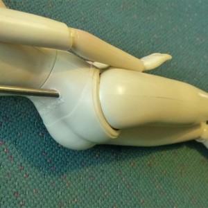 P1170174 (Small)
